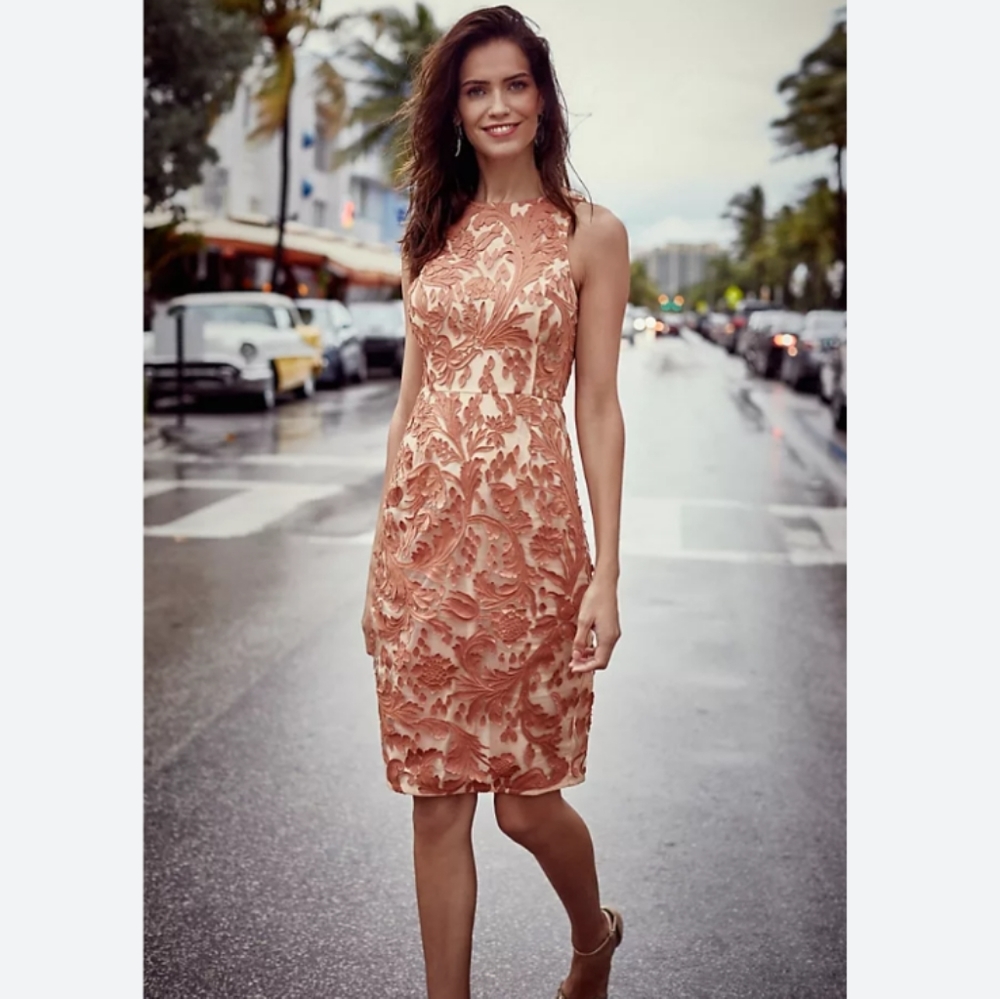 Anthropologie Pankaj & Nidhi Penelope Pencil Dress Lace Overlay